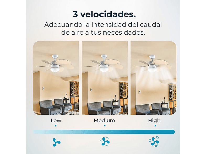 Vista 2