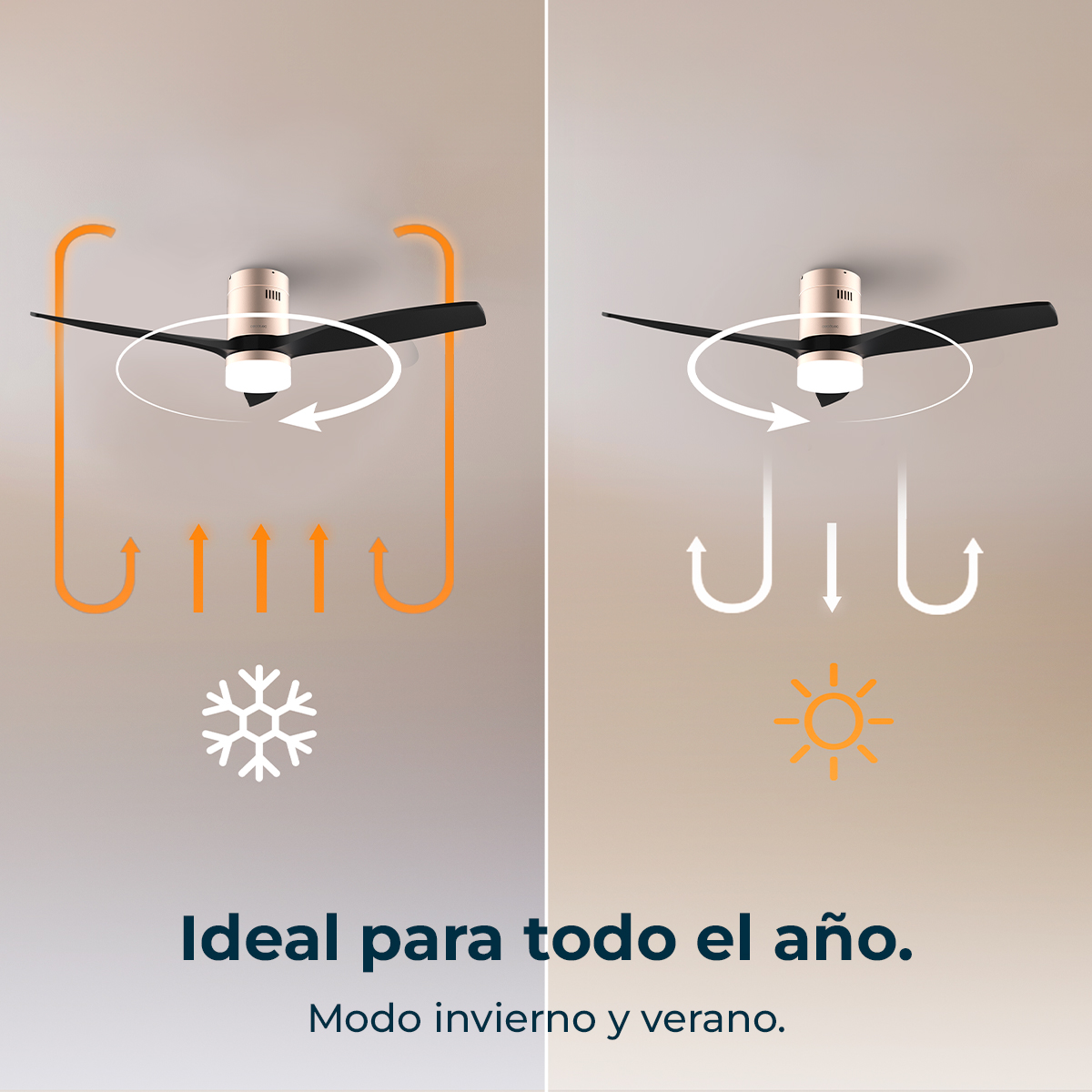 Ventilador de techo muestra modos de invierno y verano con flechas y símbolos.