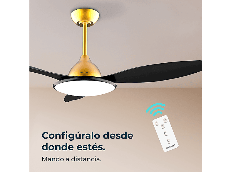 Vista 2