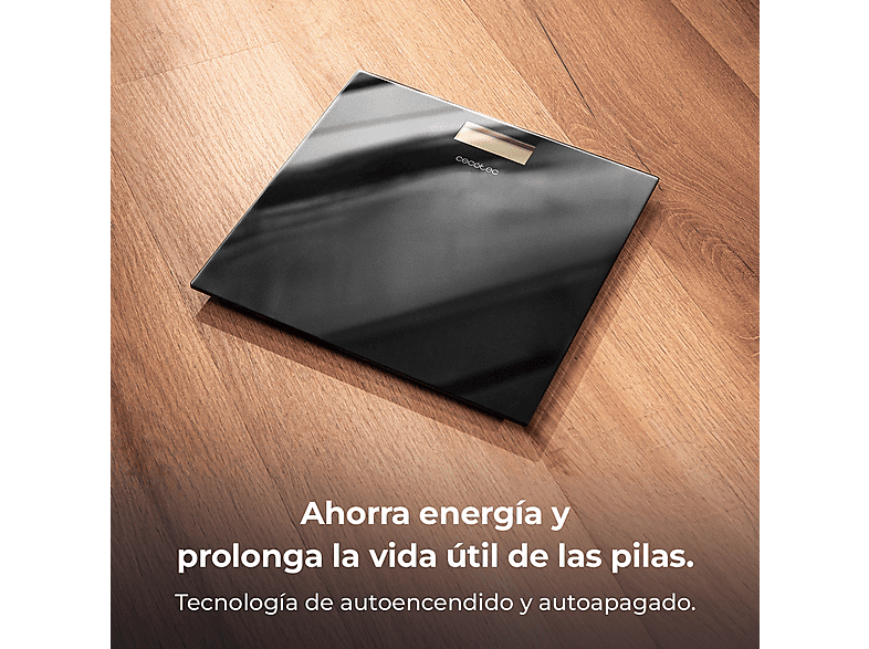 Vista 2