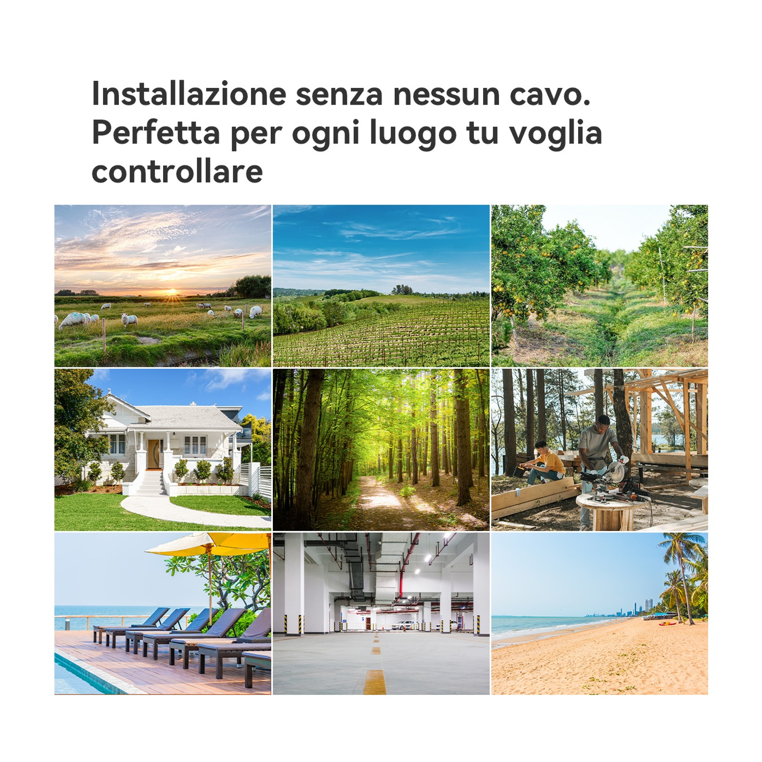 Collage di scene rurali, urbane e tropicali.