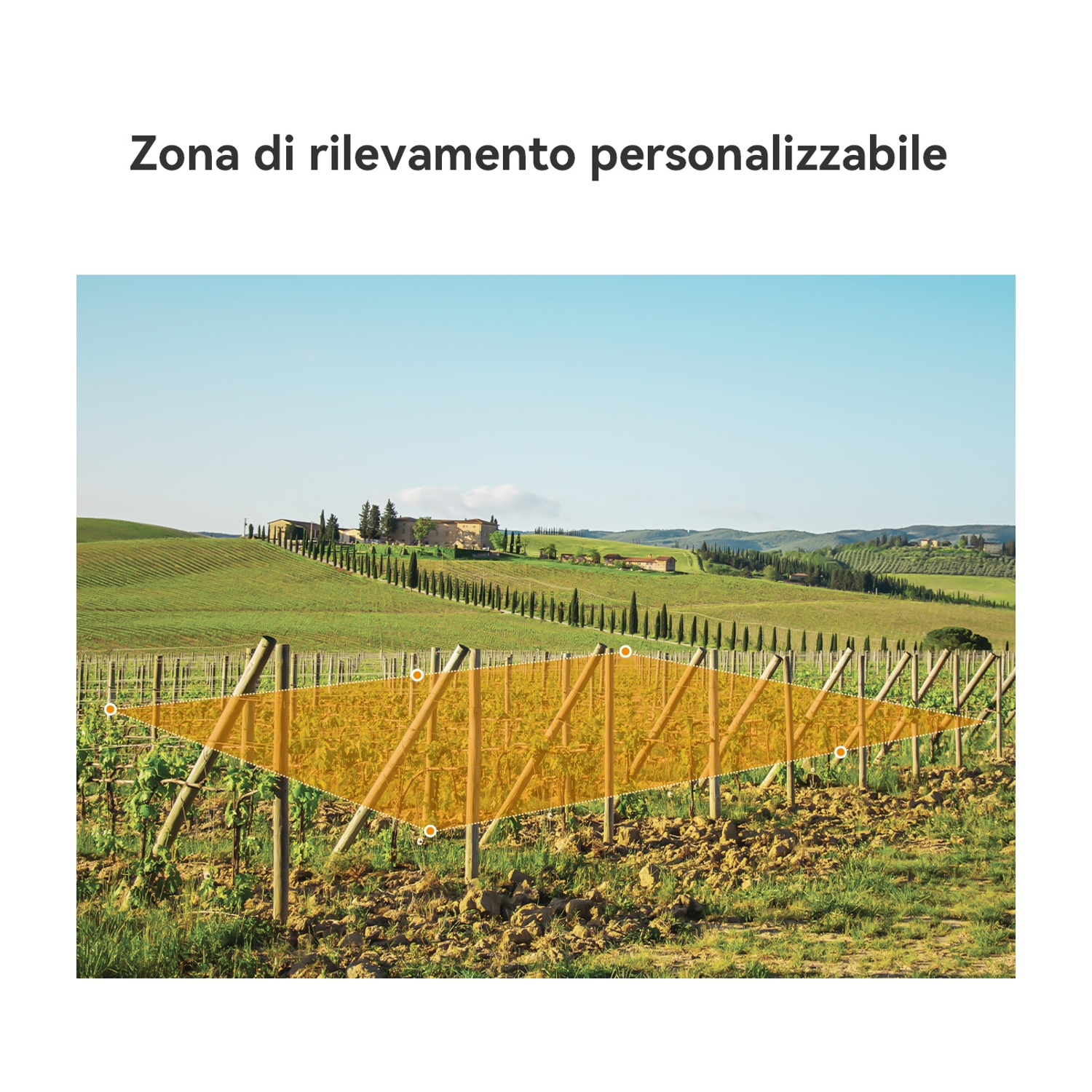 Una zona di rilevamento arancione su filari di vigneti con colline e edifici sullo sfondo.