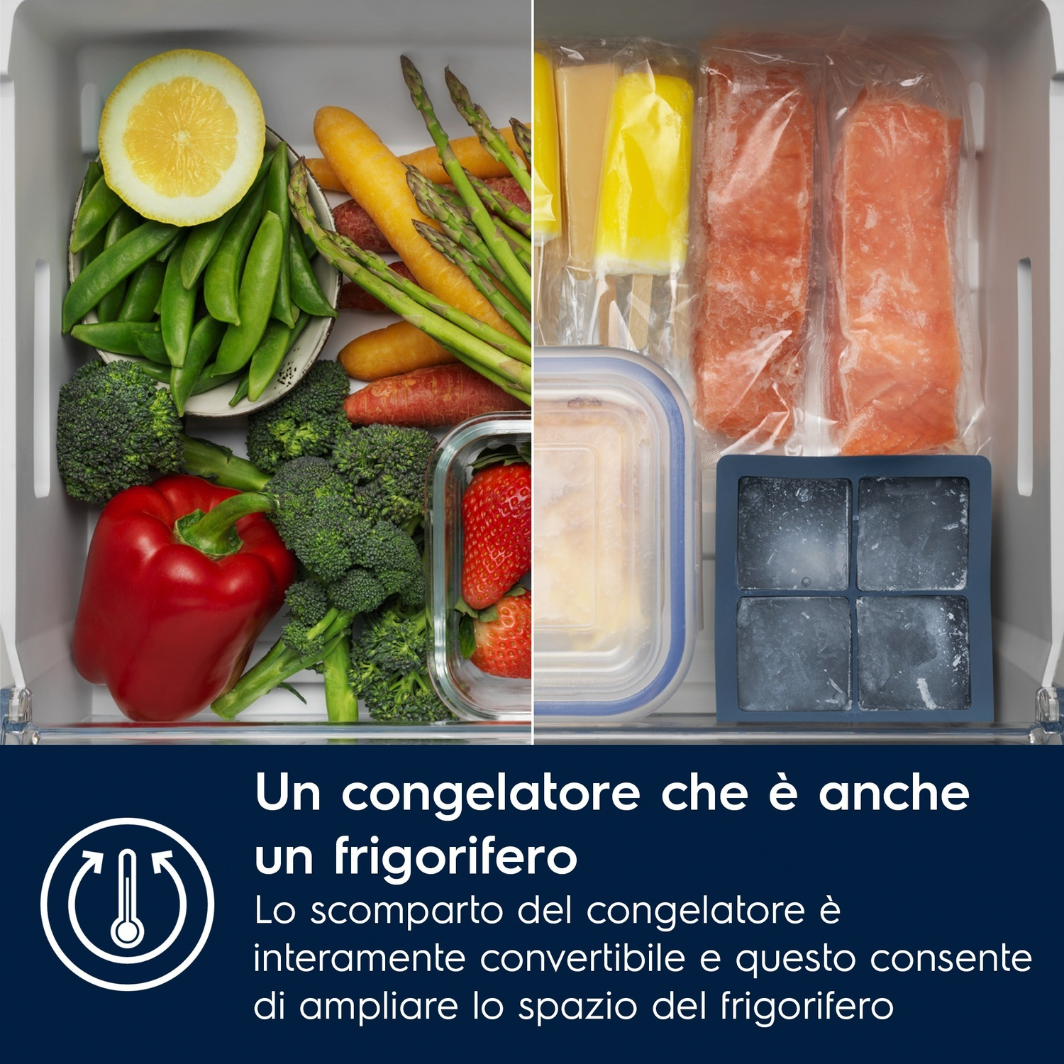 Scomparto frigorifero diviso: verdure fresche a sinistra, pesce e ghiaccio congelati a destra.