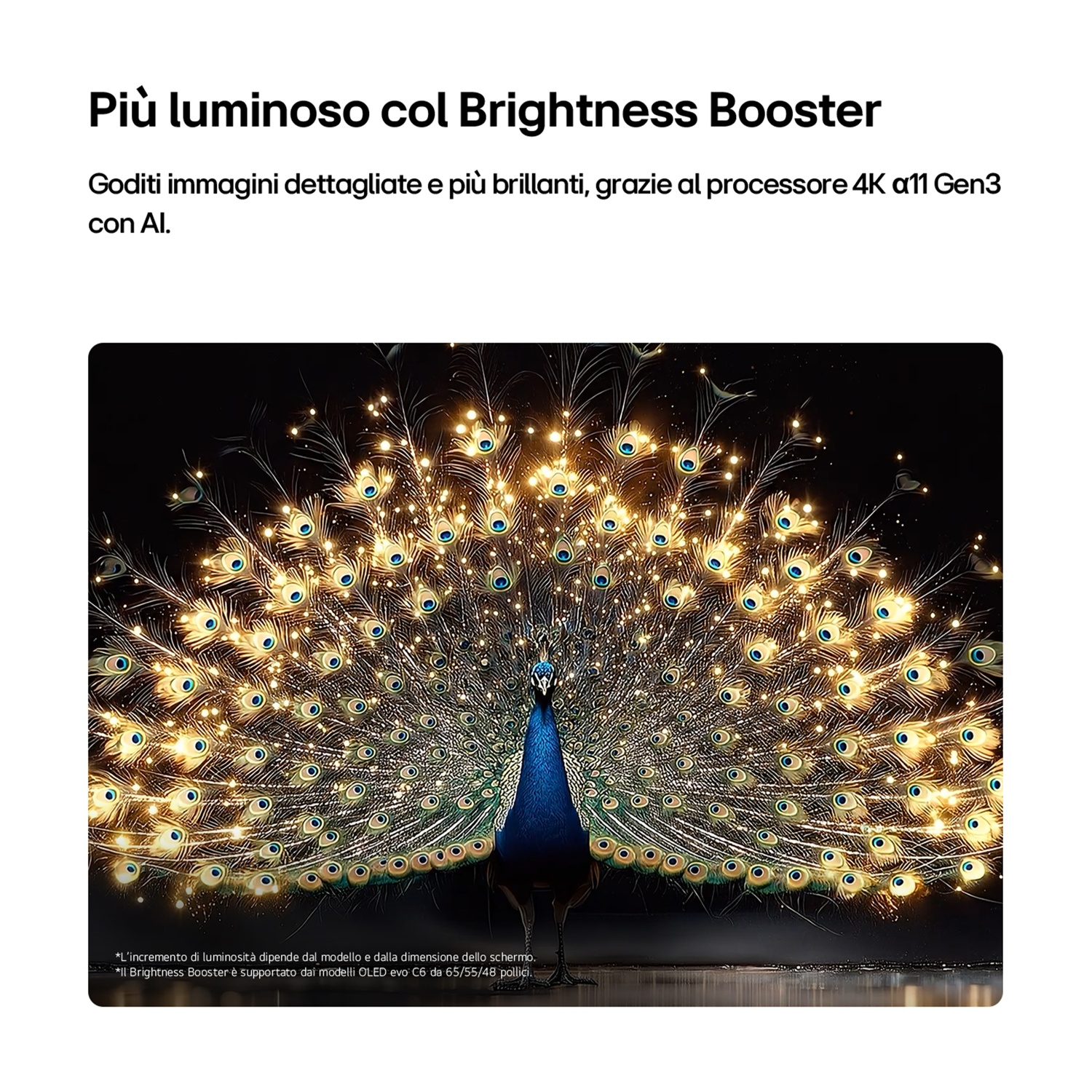 Un pavone con la coda aperta, adornata di luci.