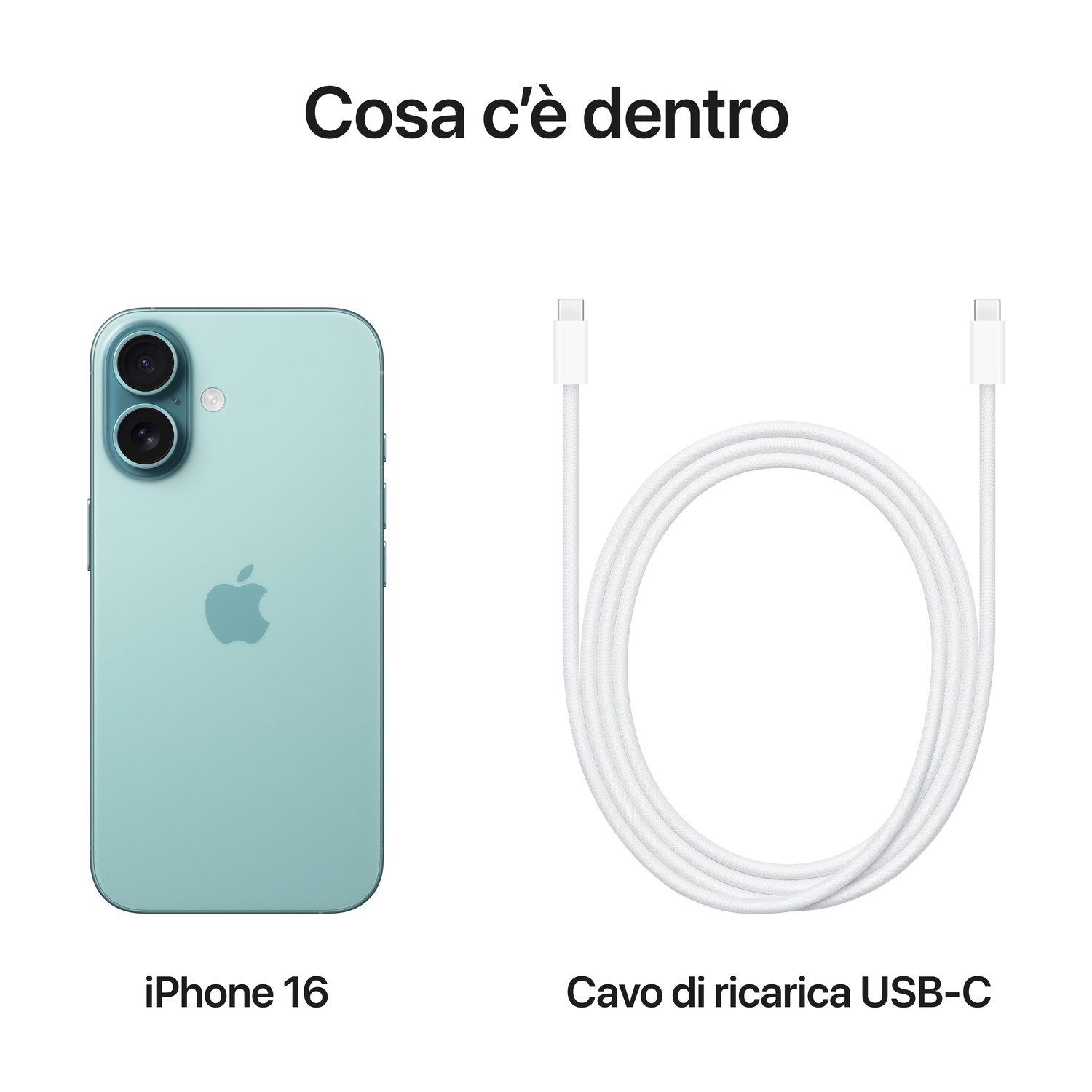 Un iPhone 16 verde menta e un cavo di ricarica USB-C bianco.
