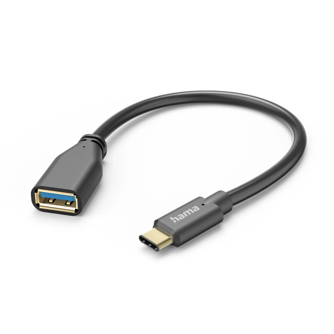 Ein schwarzes USB-C-auf-USB-A-Adapterkabel liegt auf weißem Hintergrund.
