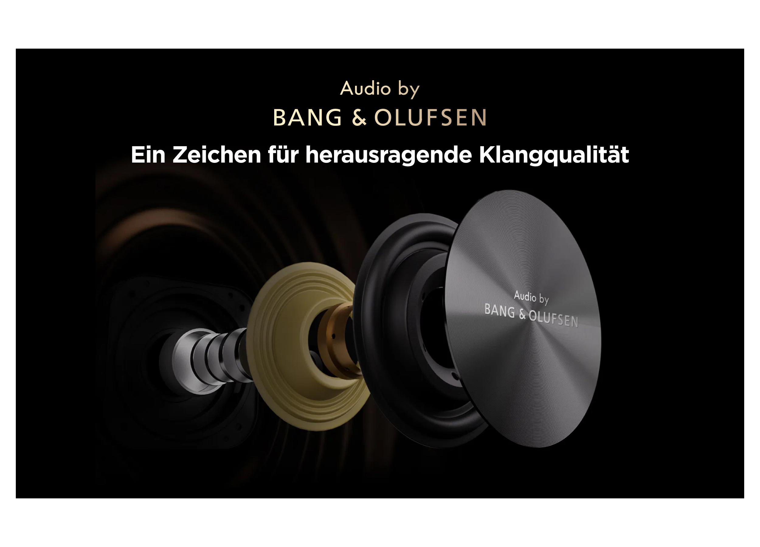 Explodierte Ansicht eines Lautsprechers mit Bang & Olufsen Logo.