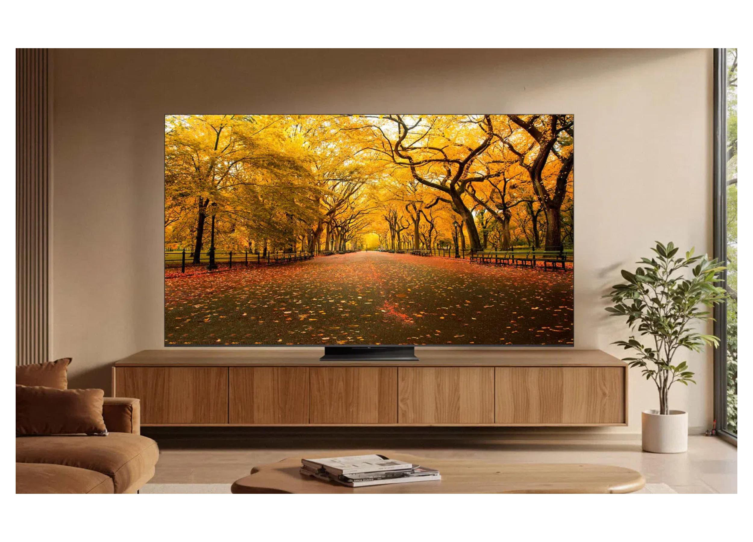 Ein Fernseher zeigt eine Allee mit Herbstlaub und Bäumen. Ein Sideboard steht darunter.