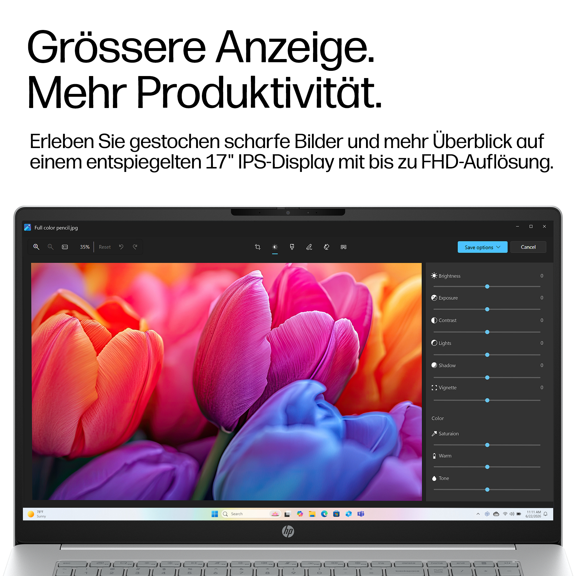 Ein Laptop-Bildschirm zeigt bunte Tulpen und Bildbearbeitungswerkzeuge an.
