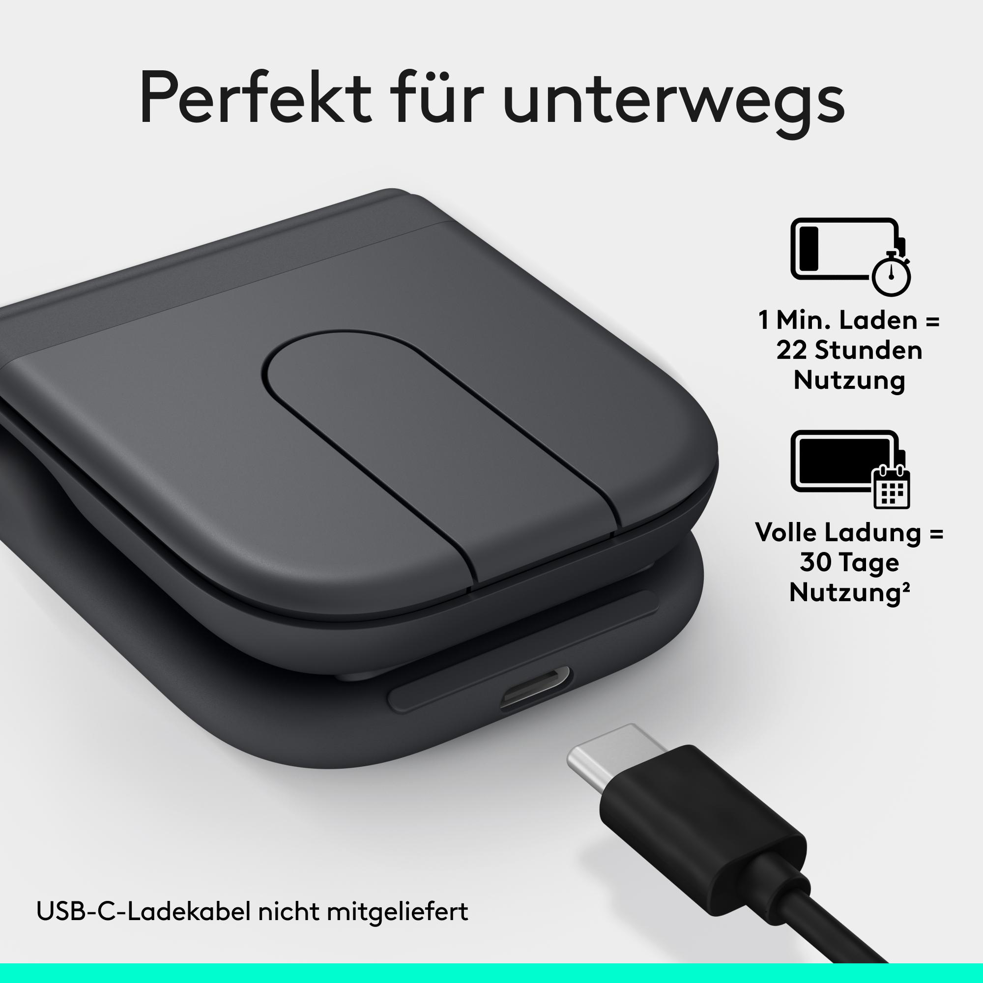 Schwarzes Ladecase mit USB-C und Ladeanzeige.