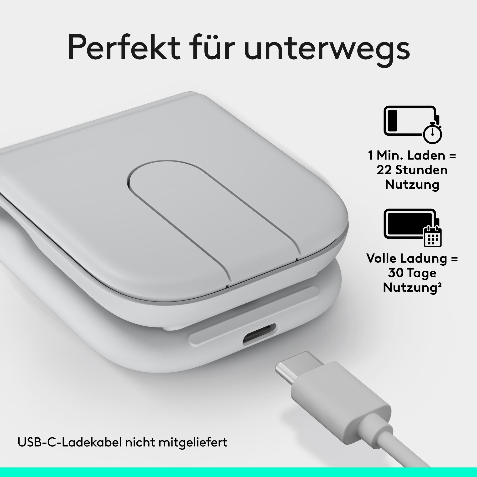 Graues Ladeetui mit USB-C-Anschluss und Ladeanzeige.