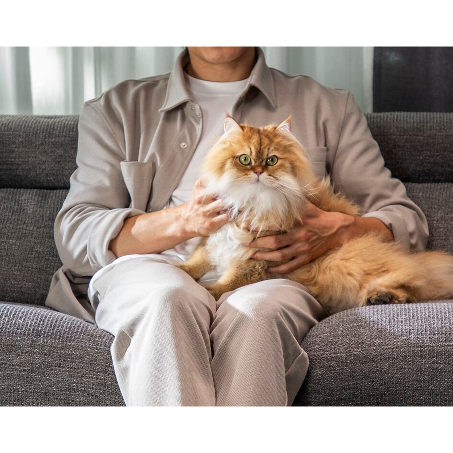 Una persona tiene un gatto arancione e soffice su un divano.