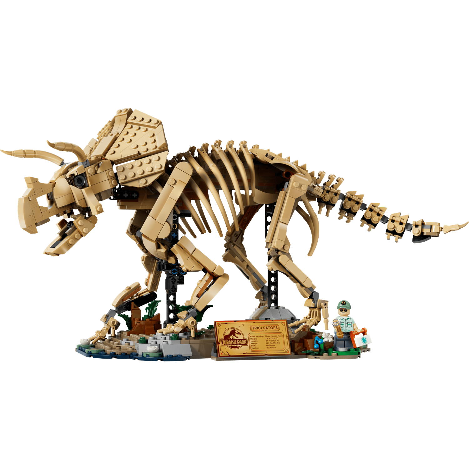 Een Lego Triceratops-skelet op een diorama met een parkwachter.
