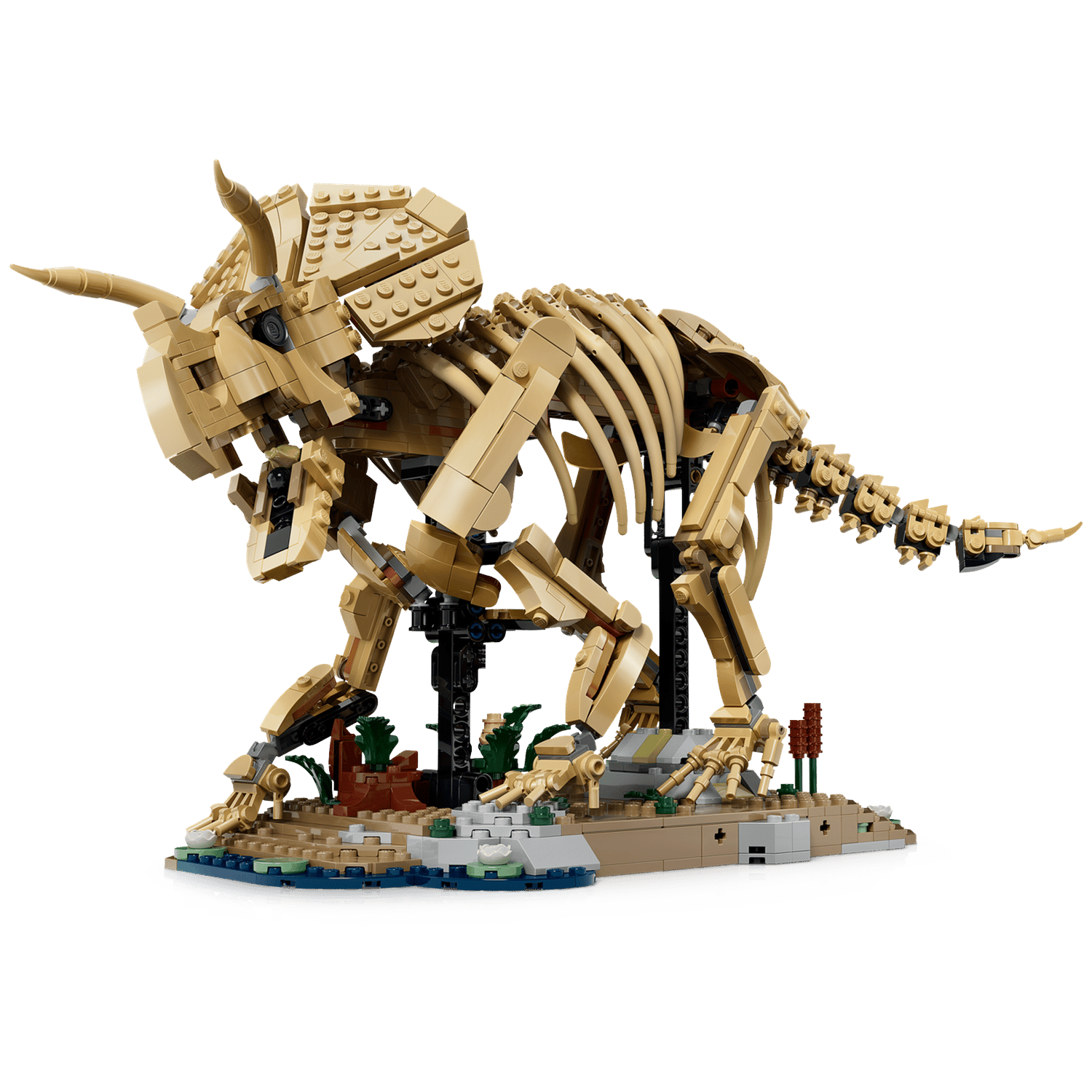 Beige Lego Triceratops-skelet op dioramabasis met planten en water.