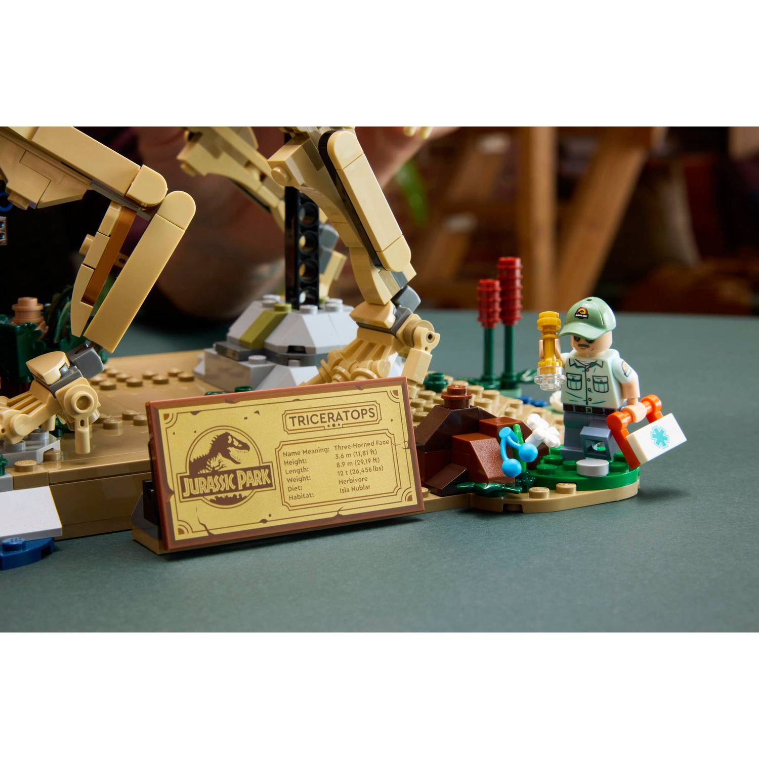 Een Lego-medewerker naast een Triceratops-infobord en dinosaurus-skeletdelen.