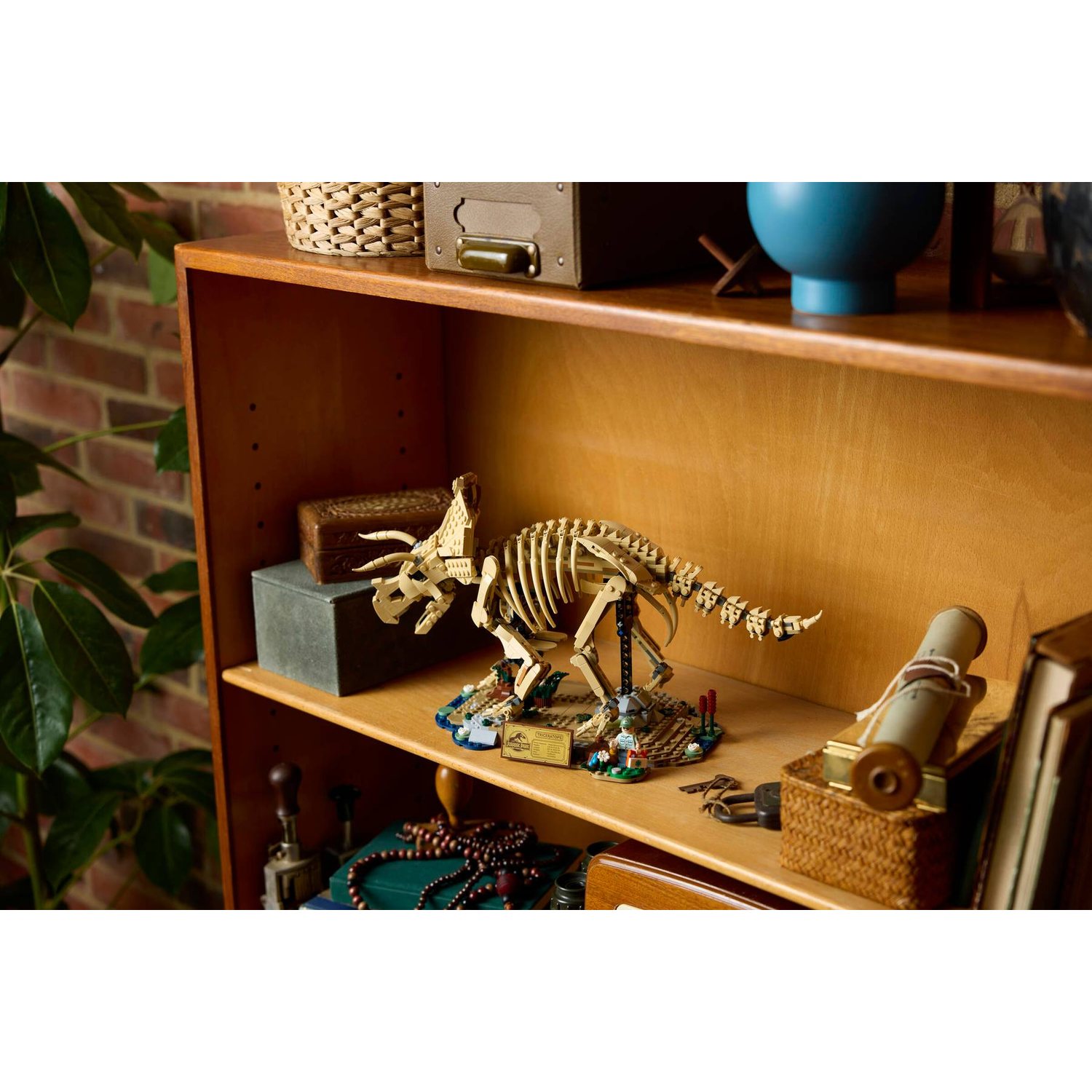Een Lego Triceratops-skelet staat op een houten plank met boeken en manden.