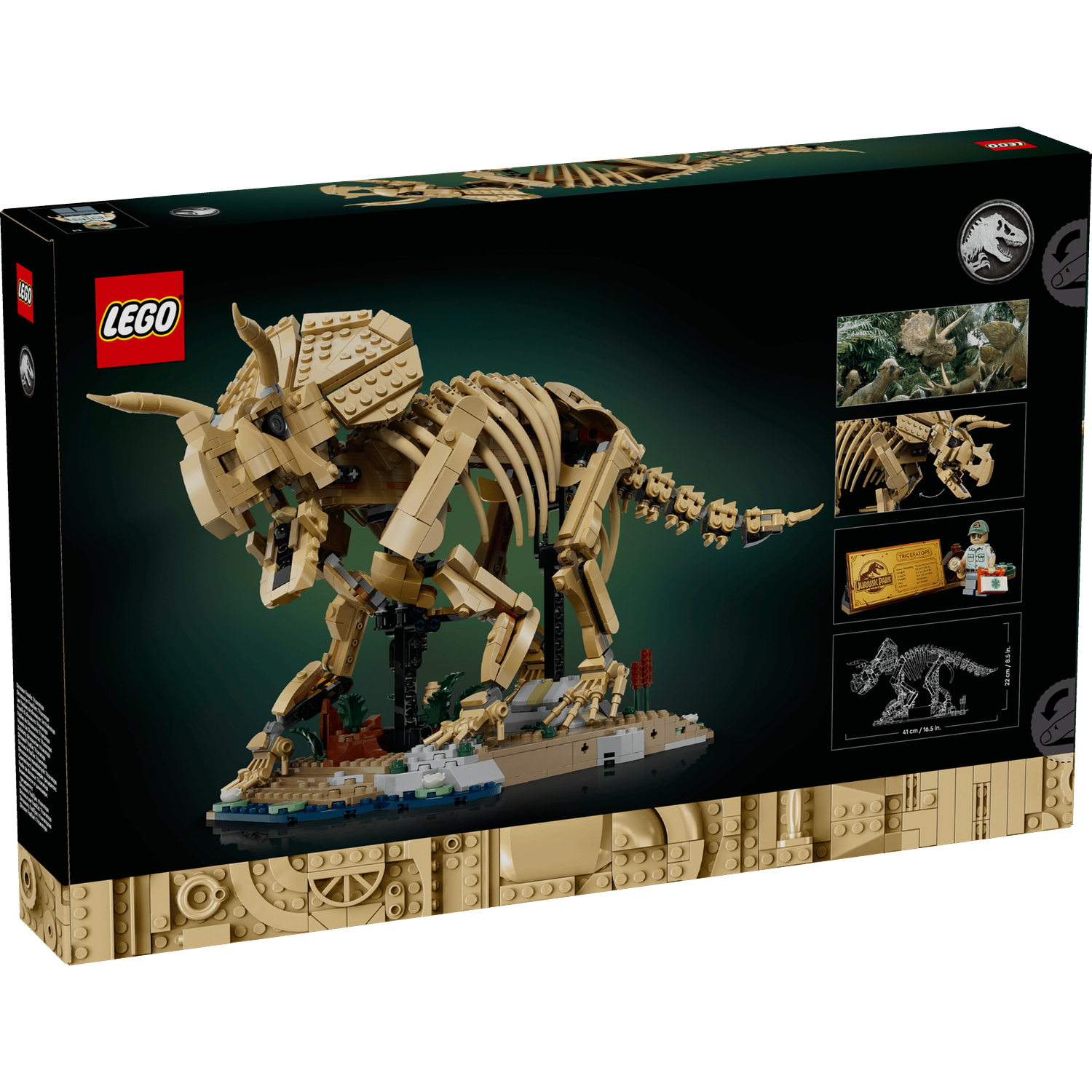 LEGO Jurassic Park Triceratops skelet model op display doos met details.