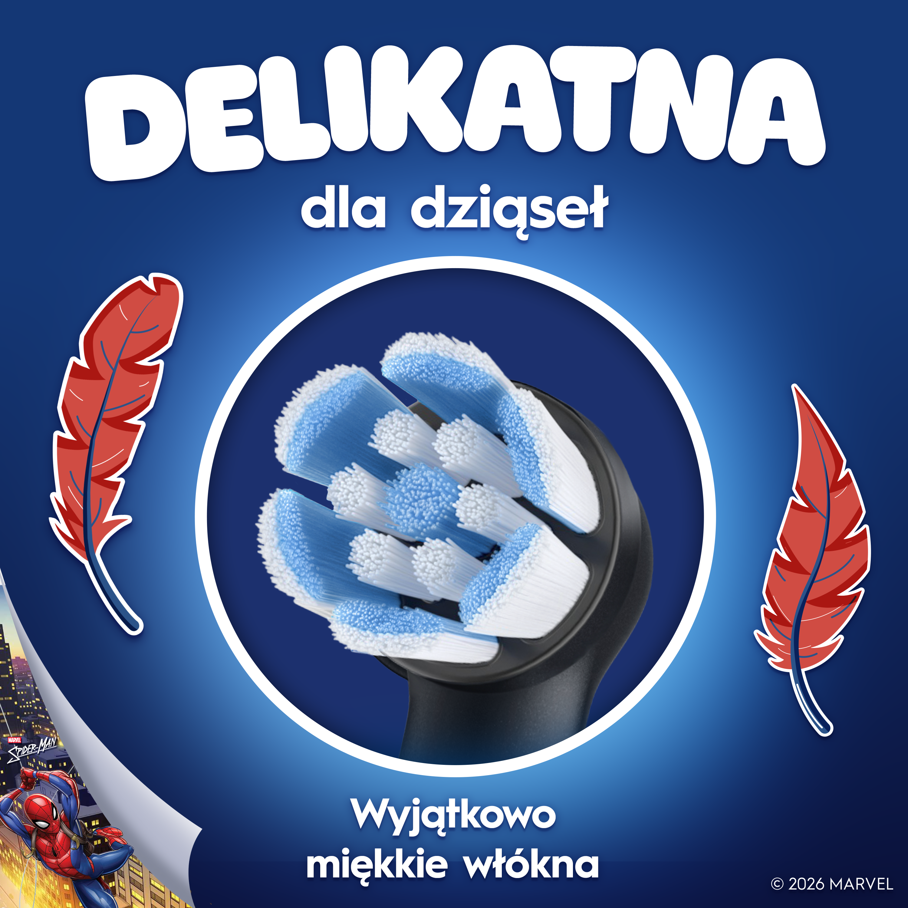 Główka szczoteczki z niebieskim i białym włosiem, piórami i Spidermanem.