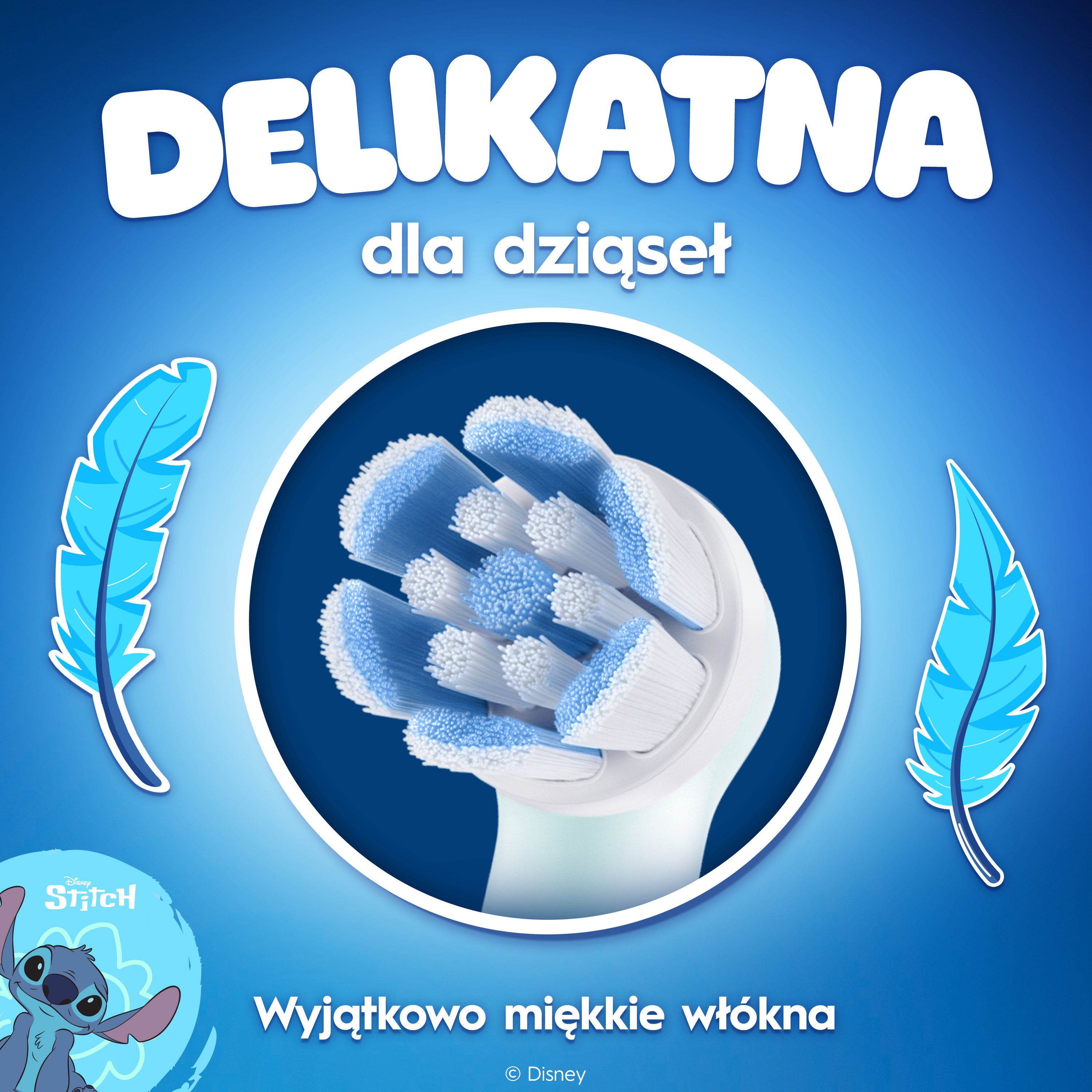 Główka szczoteczki z niebieskim i białym włosiem, Stitch Disney, pióra.