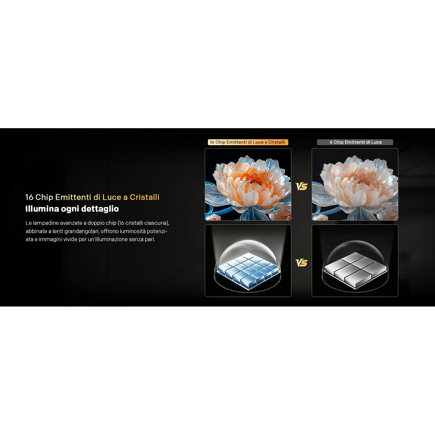 Confronto tra 16 LED a cristallo e 6 LED, con fiori e chip.