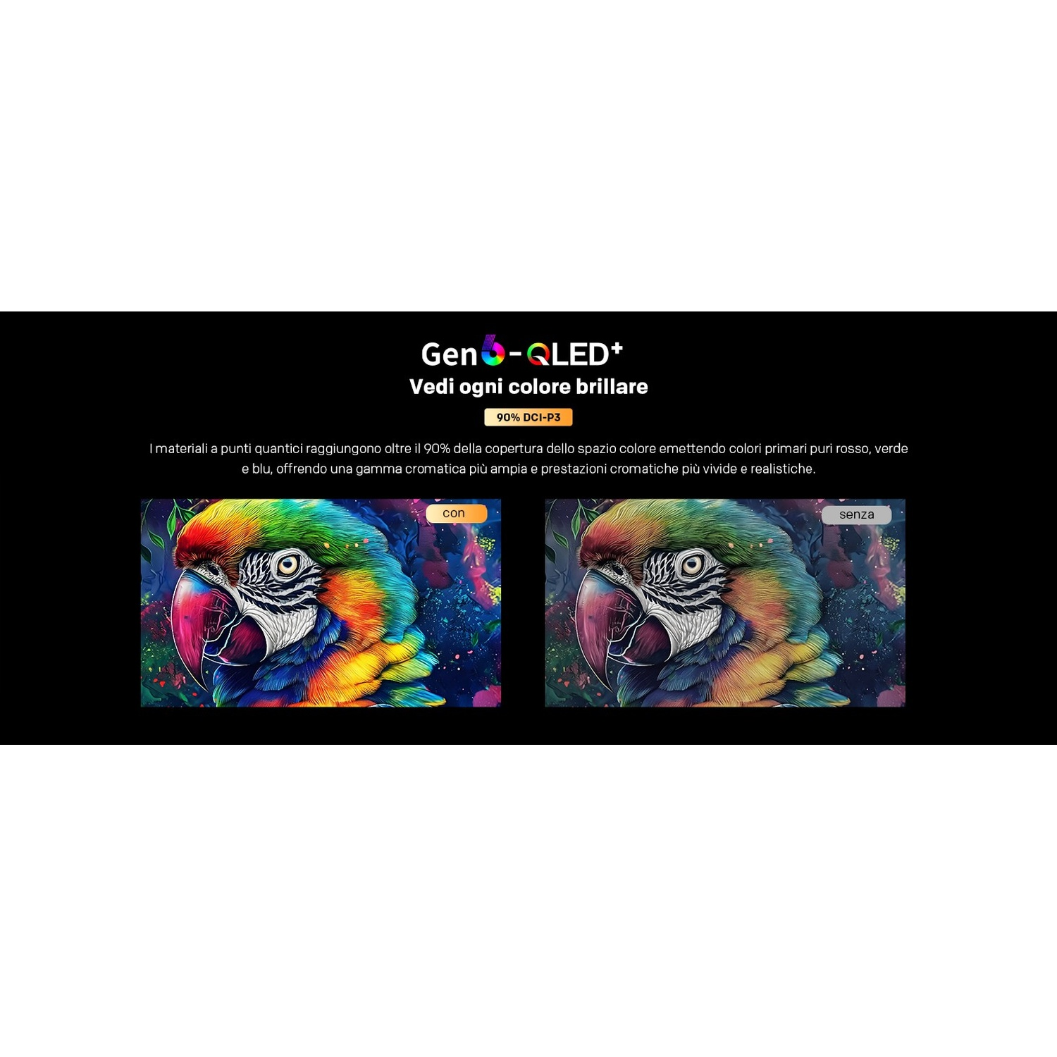 Due ritratti di pappagalli mostrano la brillantezza dei colori Gen-QLED+. Sinistra con colore, destra senza.