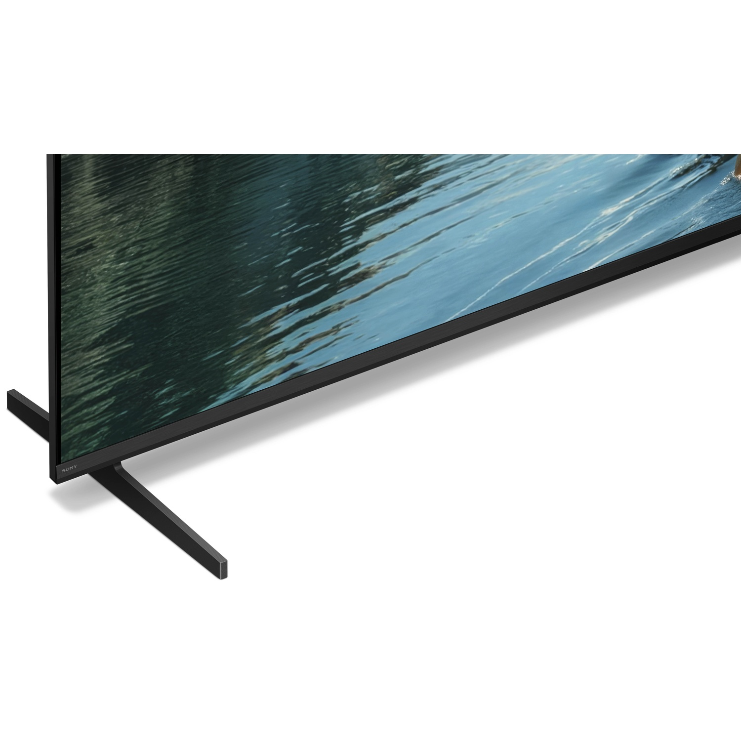 Une TV Sony montrant une scène d'eau et d'un arbre.