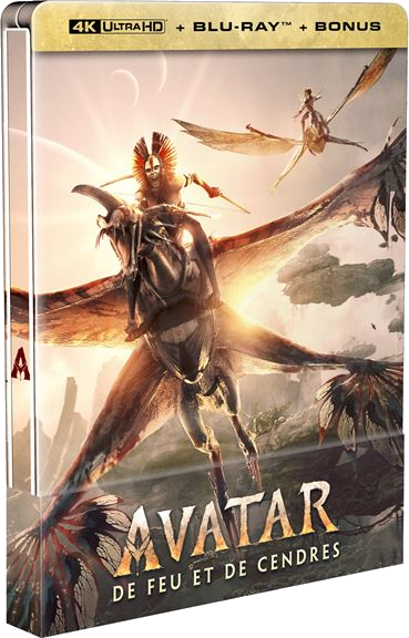 Couverture de film Avatar montrant des êtres chevauchant des créatures ailées sur fond de ciel lumineux.