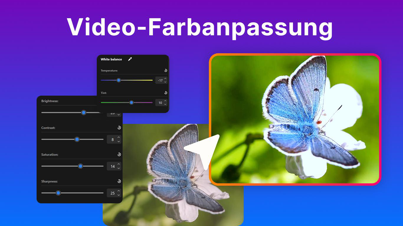 Ein blauer Schmetterling sitzt auf einer weißen Blüte, neben einem Videobearbeitungsfenster.