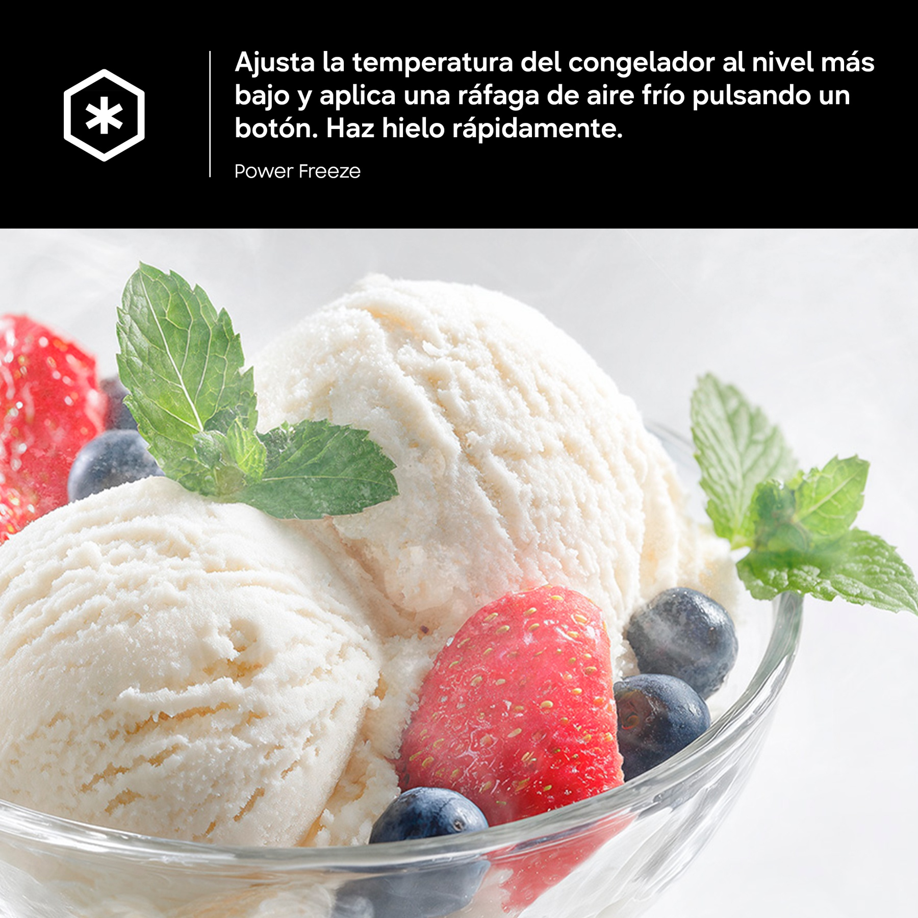 Ajusta la temperatura del congelador al nivel más bajo y aplica una ráfaga de aire frío pulsando un botón. Haz hielo rápidamente.Power Freeze