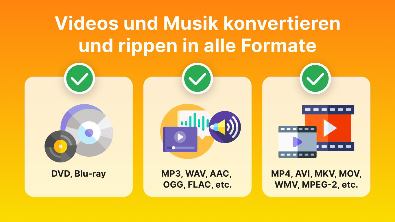 Icons für DVD/Blu-ray, Audioformate und Videoformate mit Haken.