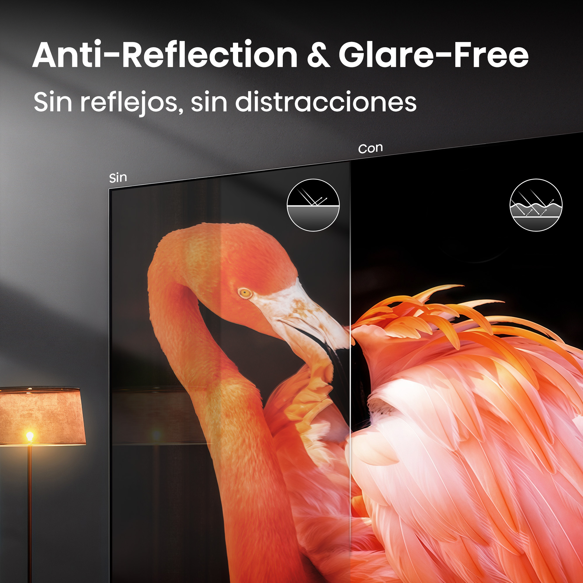 Imagen de flamenco en pantalla, comparando con y sin efectos antirreflejos.