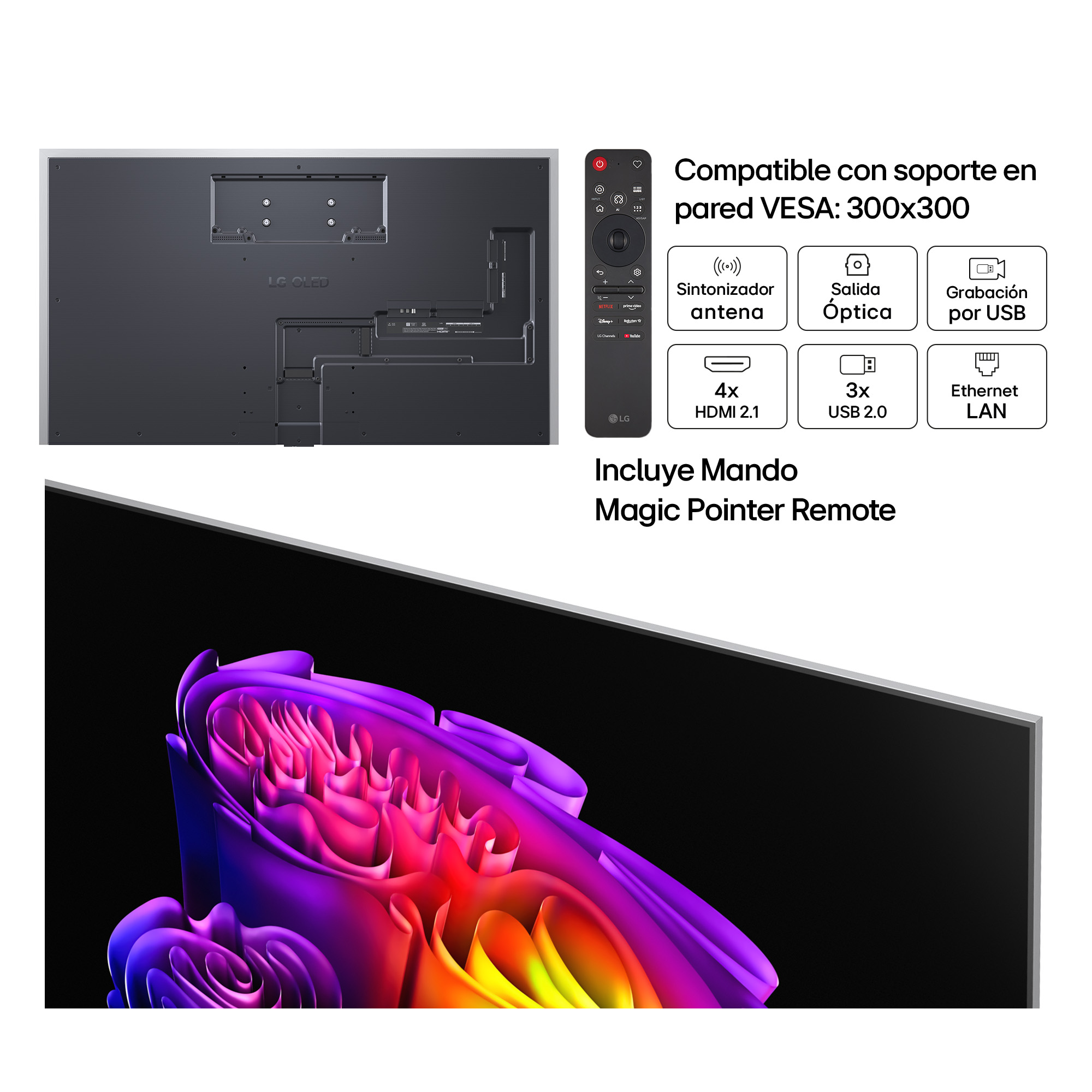 Parte trasera TV LG OLED con puertos, mando y funciones como VESA, antena, salida óptica, grabación USB.