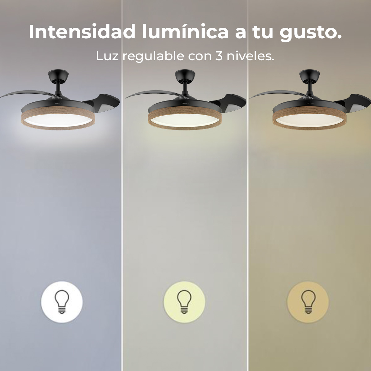 Ventilador de techo con luz en 3 niveles.