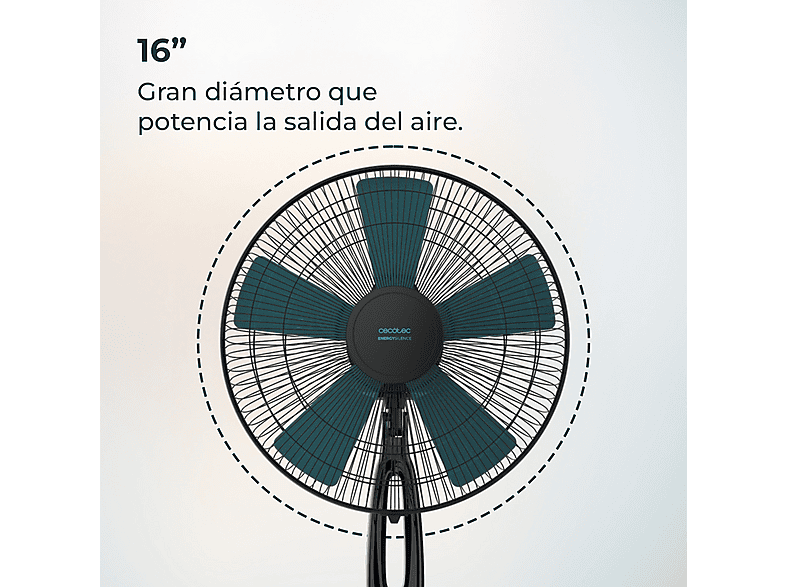 Vista 3