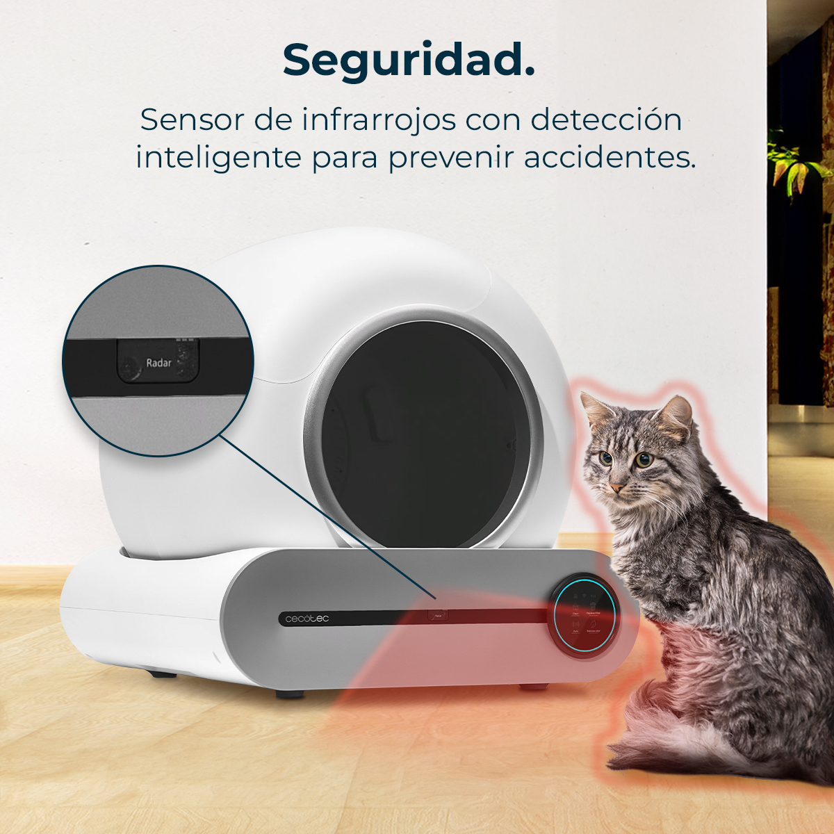 Un gato gris y esponjoso se sienta junto a una caja de arena blanca con sensor infrarrojo.