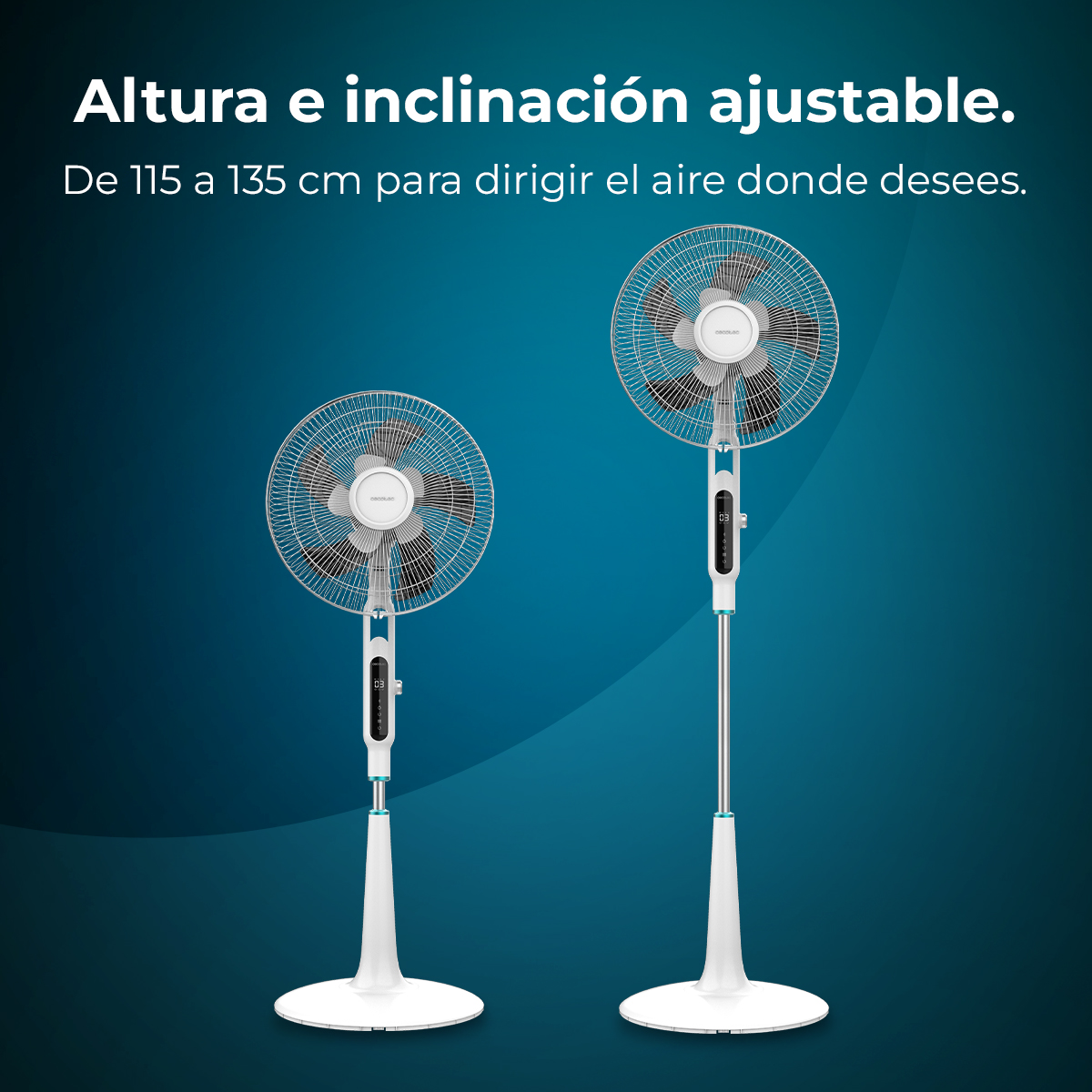 Dos ventiladores de pedestal blancos con altura e inclinación ajustables.