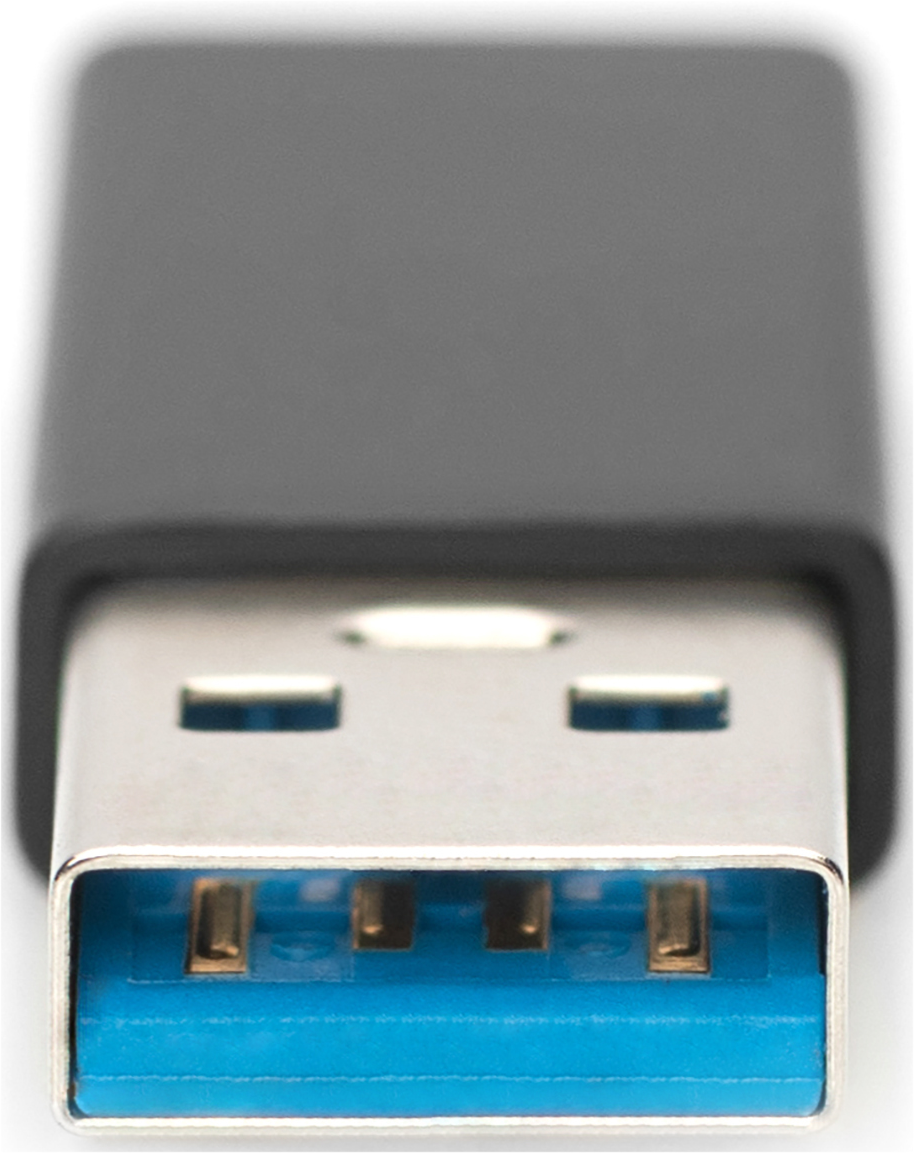 Nahaufnahme eines schwarzen USB-Steckers mit blauem Einsatz und Metallkontakten.