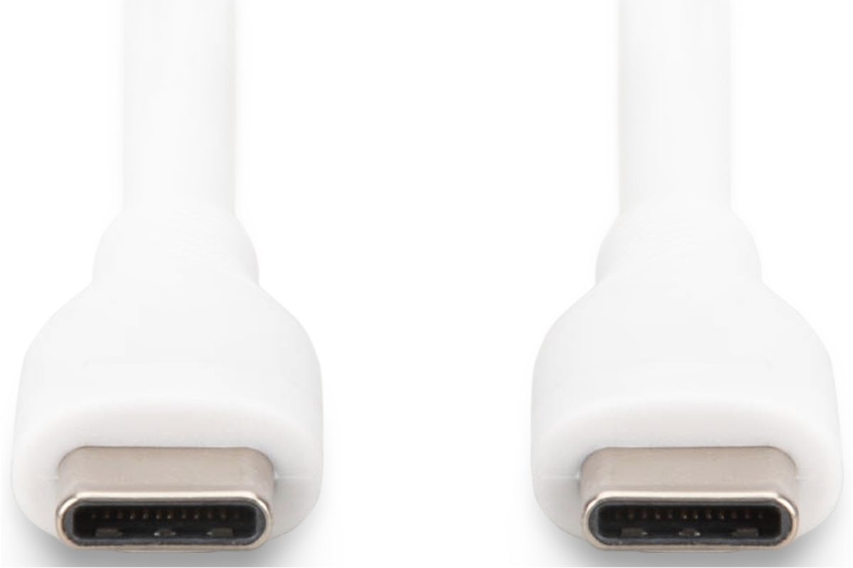 Zwei weiße USB-C-Anschlüsse mit silbernen Metallkontakten auf weißem Hintergrund.