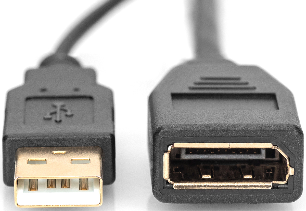 Nahaufnahme eines männlichen USB-A-Steckers und eines weiblichen USB-A-Anschlusses.