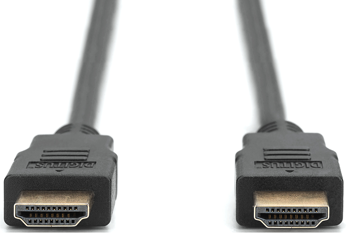 Zwei schwarze HDMI-Kabelstecker mit goldenen Kontakten auf weißem Hintergrund.