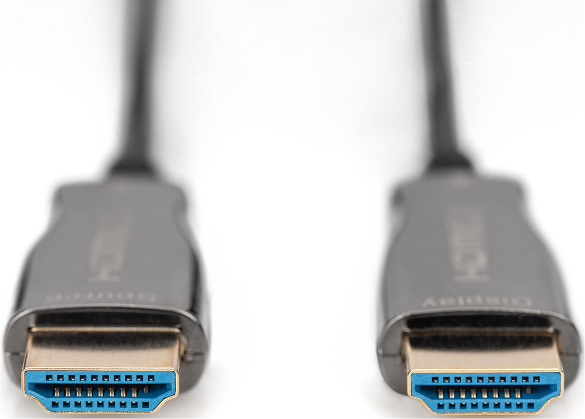 Zwei HDMI-Stecker mit blauen Einsätzen und goldenen Kontakten auf weißem Grund.