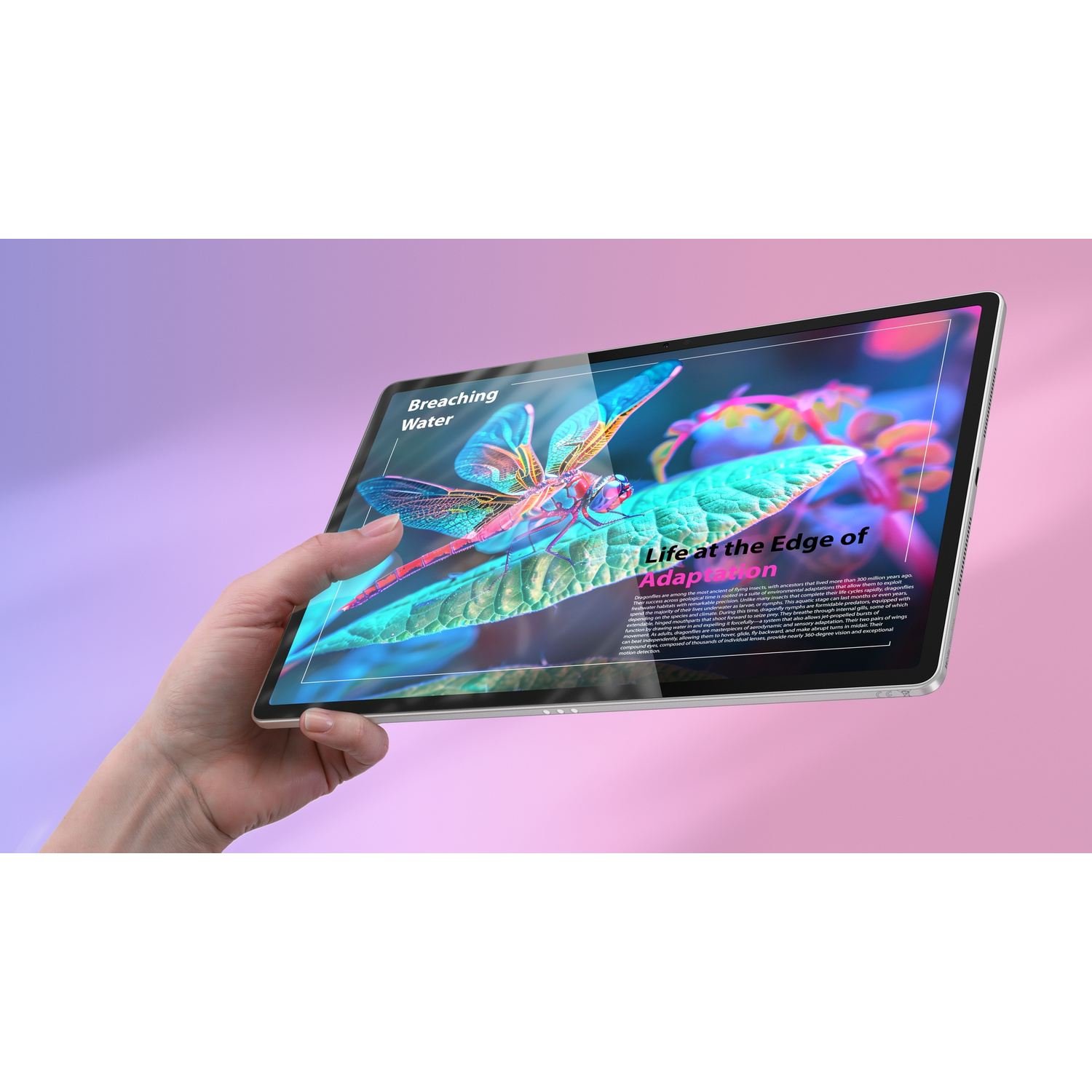 Una mano tiene un tablet che mostra una libellula sul suo schermo.