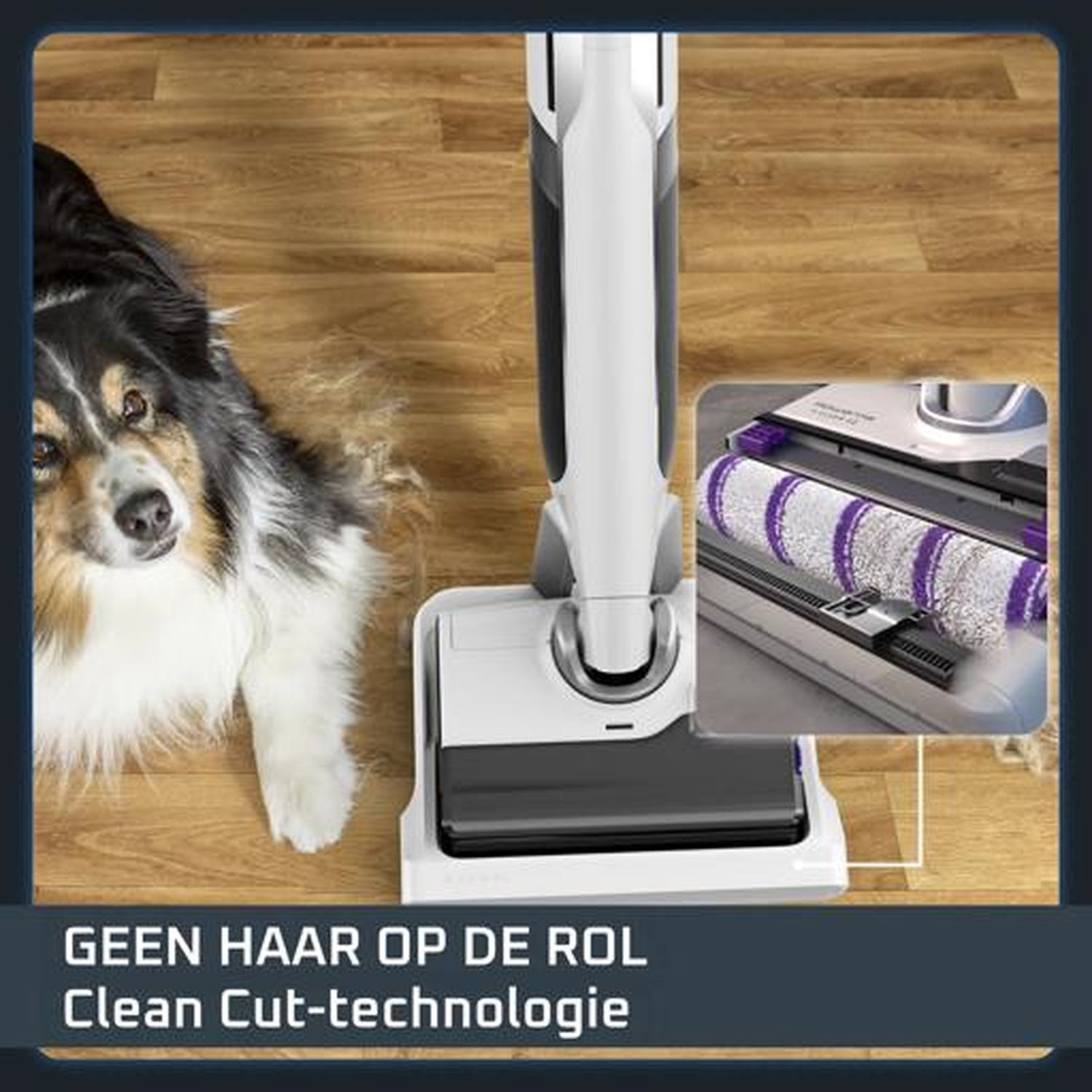 A dog lies on a wood floor next to a floor cleaner with a brush roll.