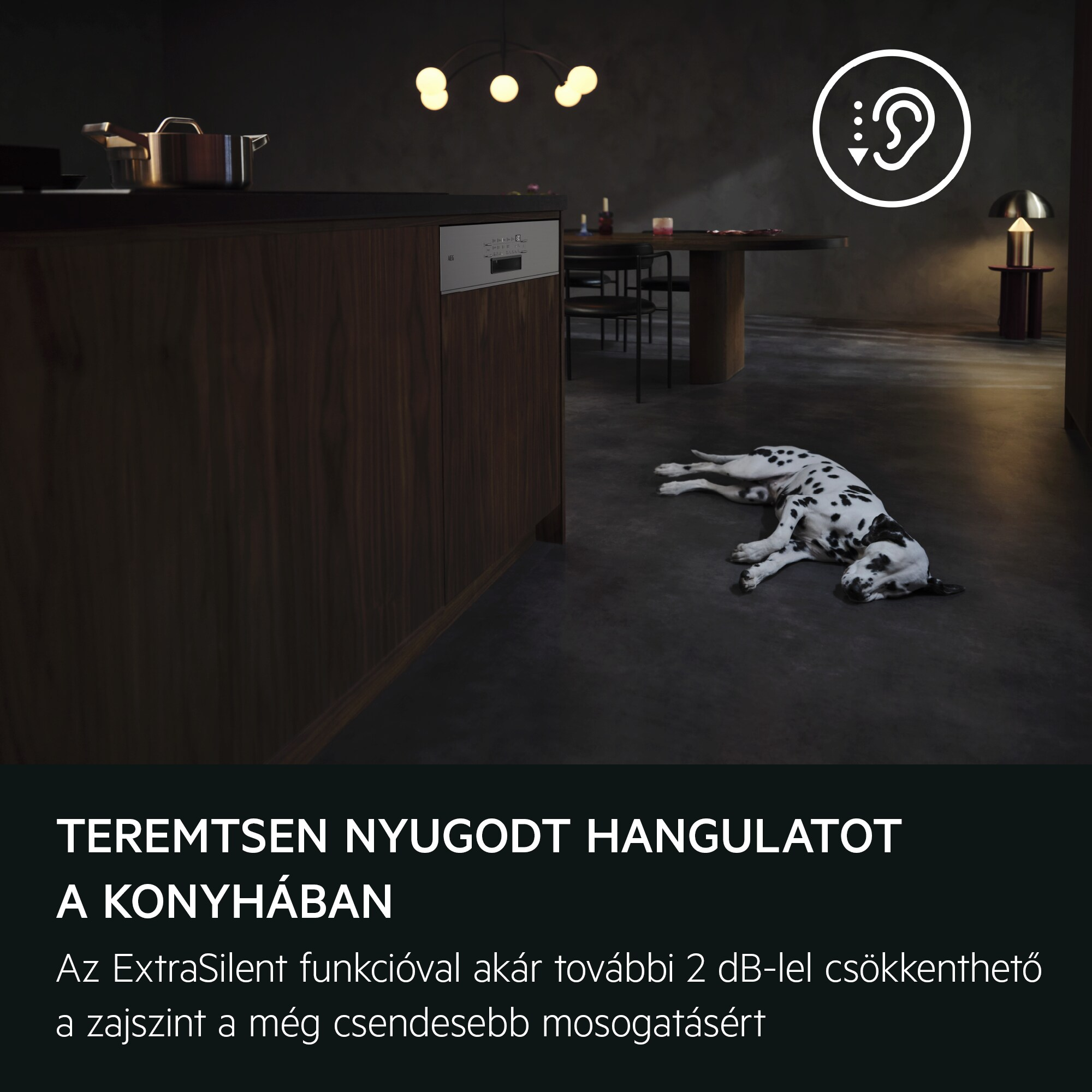 Egy dalmatin kutya pihen a modern konyha sötét padlóján, egy mosogatógép mellett.