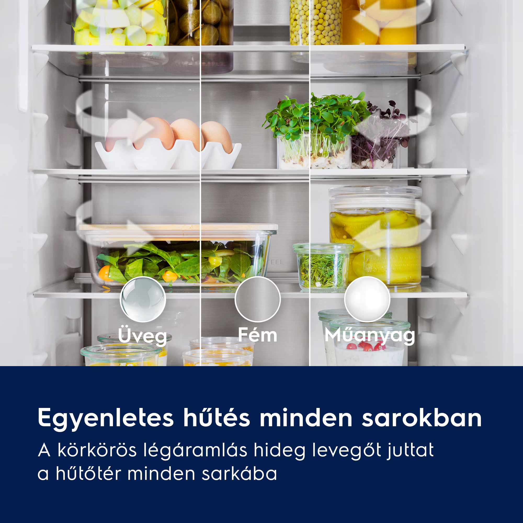 Hűtőszekrény polcok élelmiszerekkel, pl. tojással, csírával, savanyúsággal.
