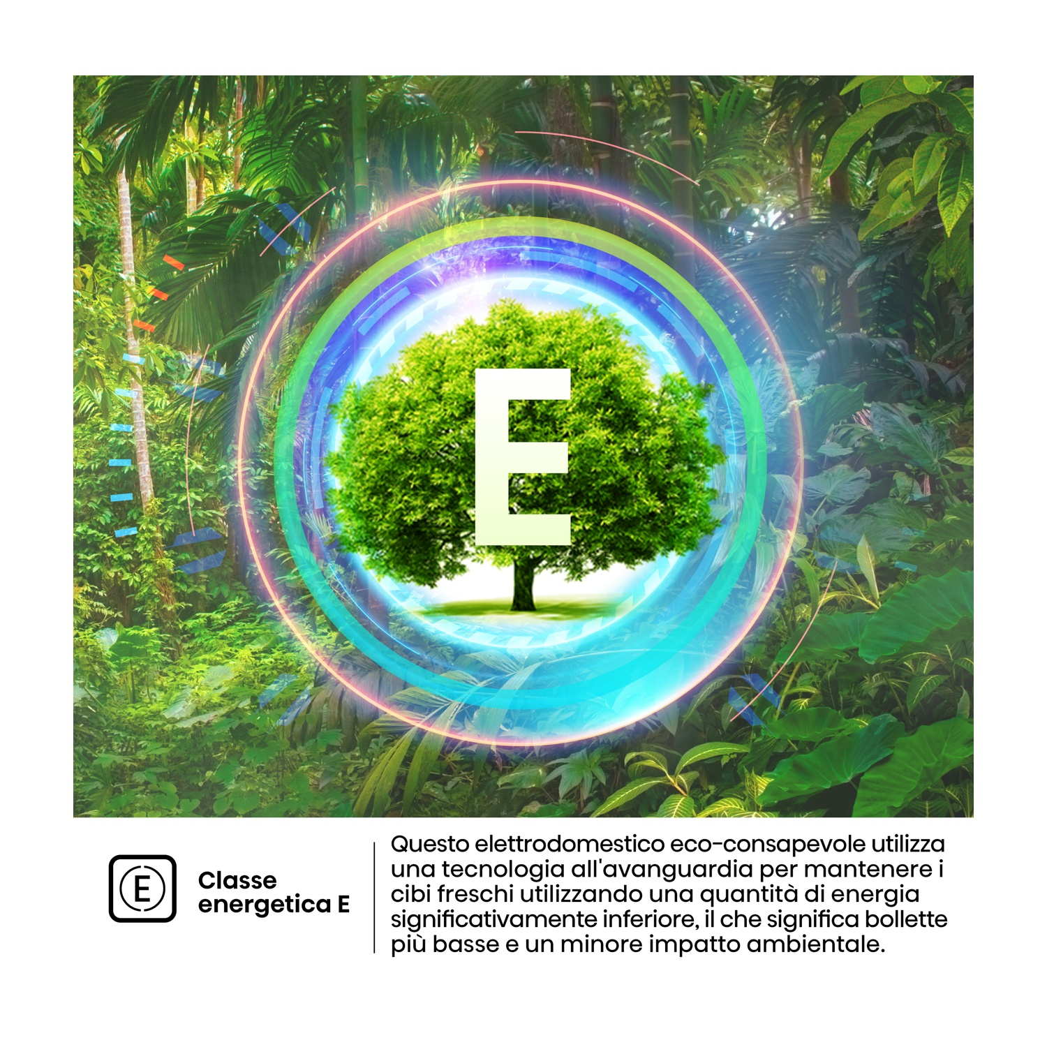 Un albero in una giungla circondato da un anello energetico. Classe E.