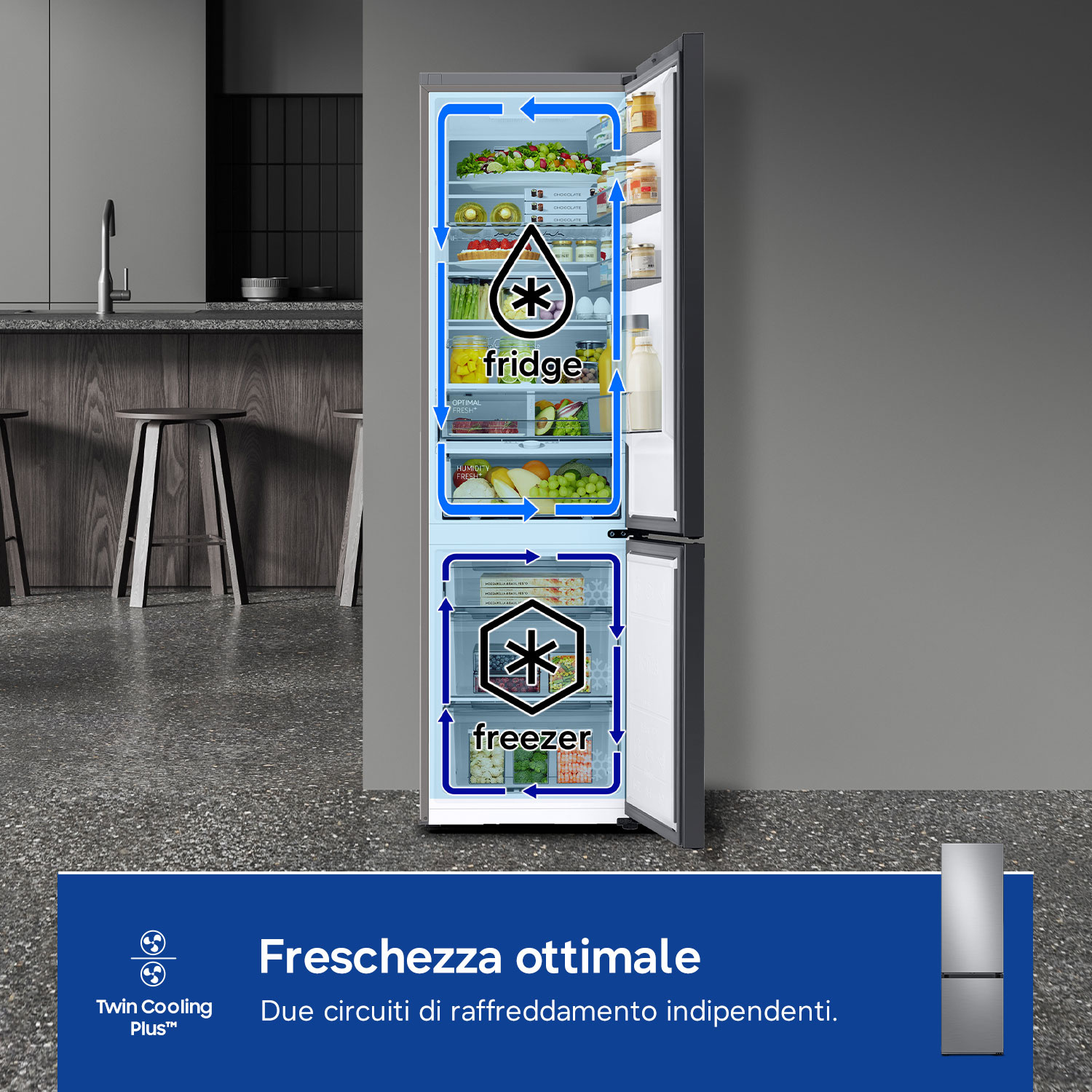 Un frigorifero aperto con sezioni separate per frigorifero e congelatore, indicate da frecce blu.