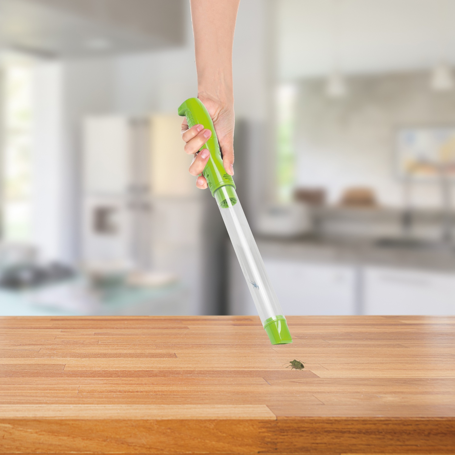 Aspiratore per insetti verde aspira un insetto da un tavolo di legno. Cucina sullo sfondo.