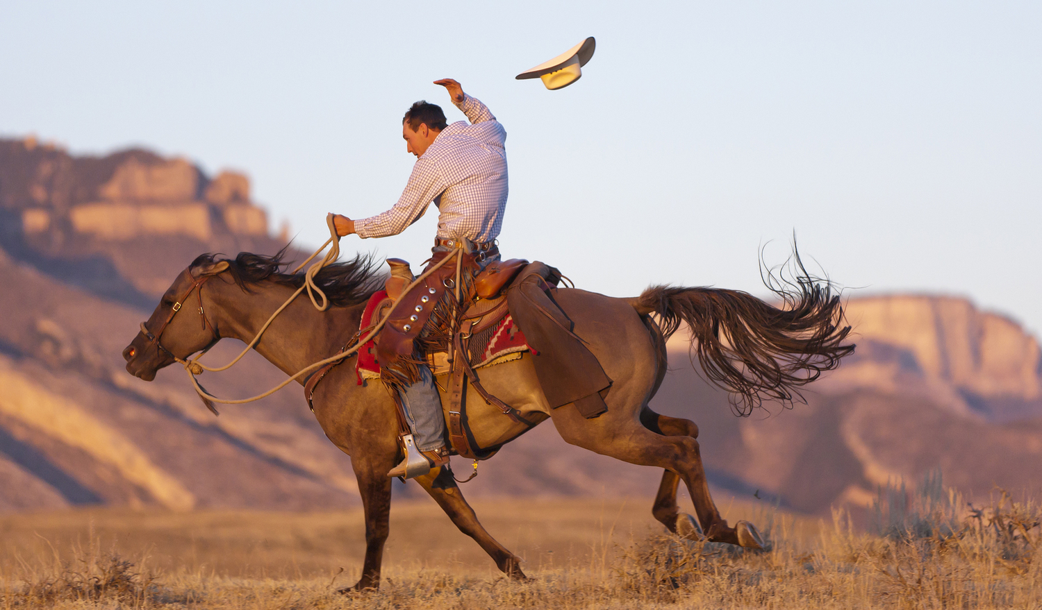 Un vaquero lanza su sombrero al aire mientras monta un caballo marrón.