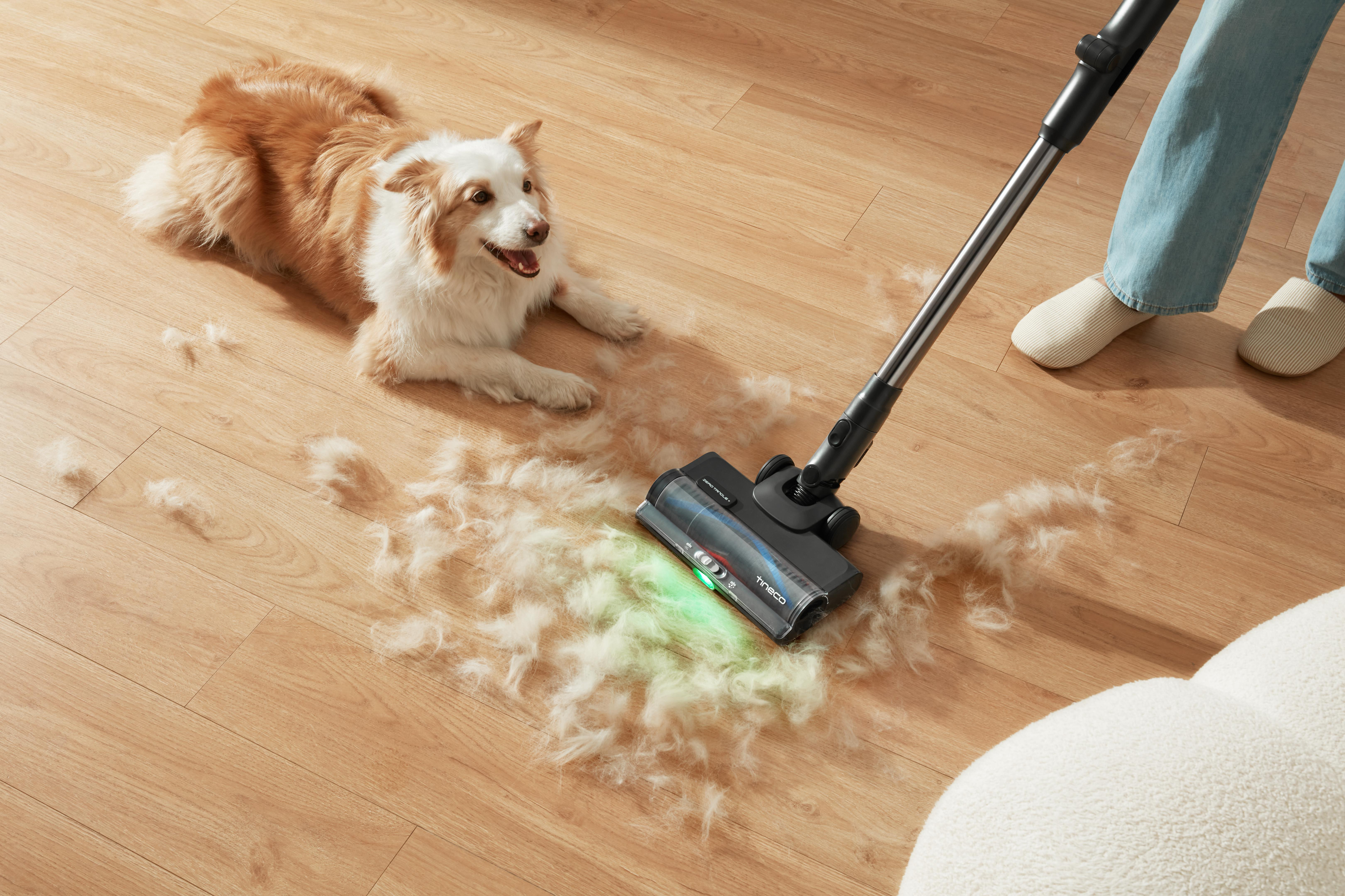 Ein Hund liegt auf einem Holzboden, neben dem ein Staubsauger liegt, der Haare aufsaugt.